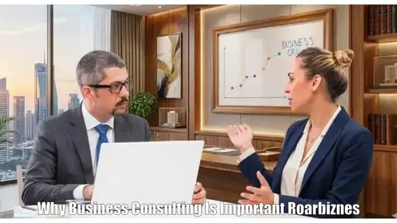 Why Business Consulting Is Important Roarbiznes