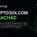 Crypto30x.com Gigachad